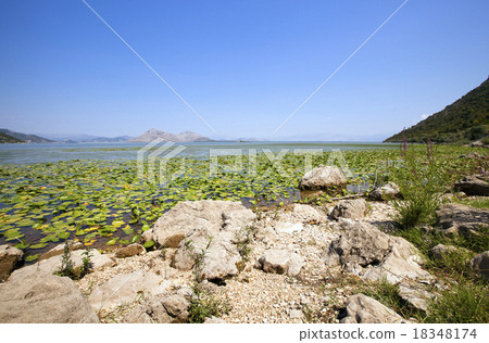 Lake Skadar   18348174