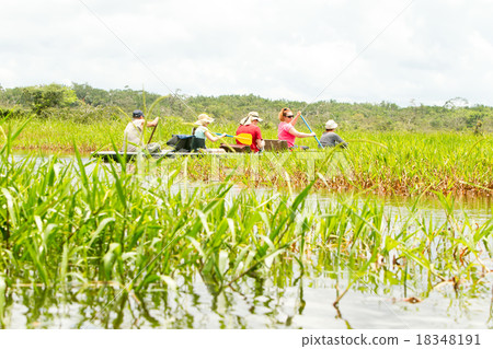 Tourism In Amazonian Jungle 18348191