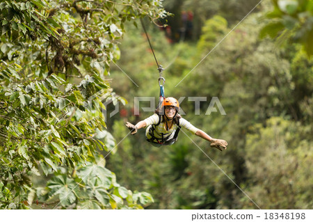 Zip Line Adventure 18348198