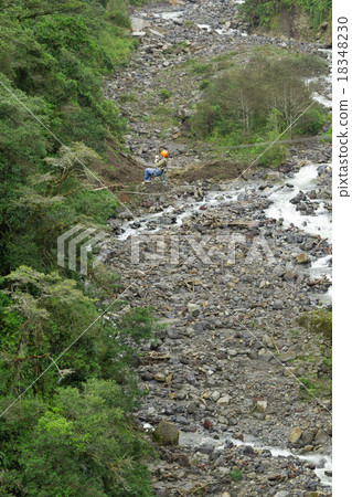 Zip Line Experience 18348230