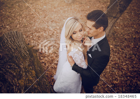 wadding day HD 18348465