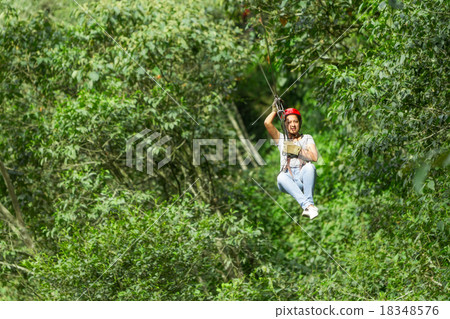 Young Adult Woman On Zip Line Over The Tree Canopy Young Adult Woman On Zip Line Over The Tree Canopy 18348576
