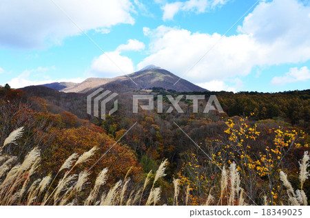 會津萬代（福島縣） 18349025