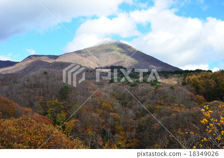 會津萬代（福島縣） 18349026