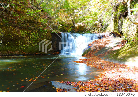 Fall of a break - Early fall 2015 18349070