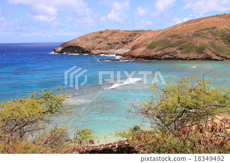 夏威夷哈瑙瑪灣 18349492