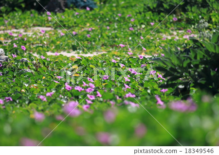 Hirao Gao Hirao Gao 18349546