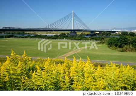 Seita Kawadachi So和Toriya Ninnaji Bridge Ohashi 18349690