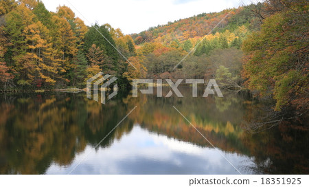 Autumn leaves on a pond 18351925