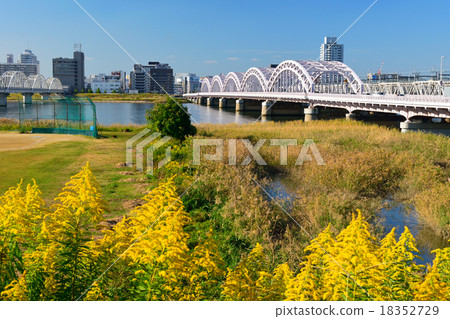 Autumn 13 Junction Bridge 18352729