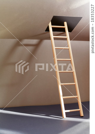 Ladder In Hatch 18353227