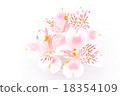 Petal floating in water 18354109