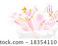 Petal floating in water 18354110