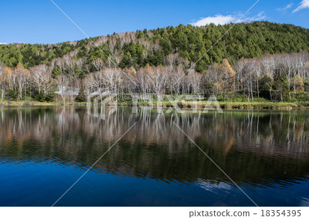 秋天秋天木池塘 18354395