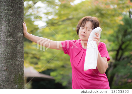 Senior sports 18355893