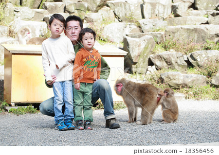 Parent and child of monkey and parent and child of man 18356456