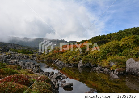 The beginning of autumn 18358059