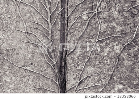 tendrils growing on a granite stone for backgrounds 18358066