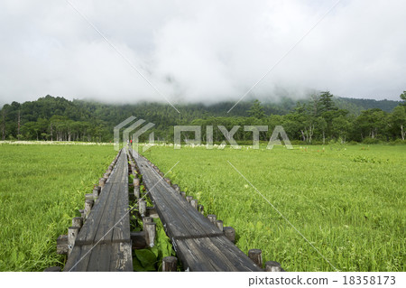 Ogasegara Uedaro沒有Kido 18358173