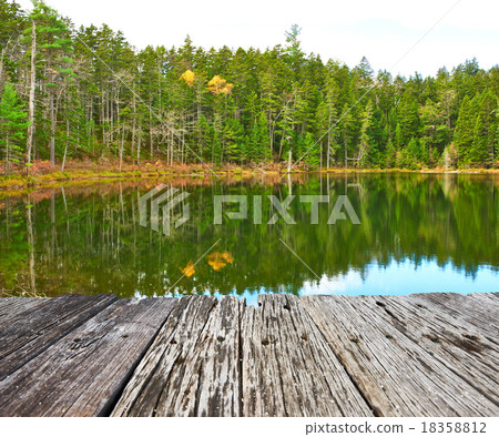 Pond in White Mountain National Forest 18358812