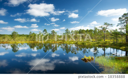 Viru bogs at Lahemaa national park Viru bogs at Lahemaa national park 18358888