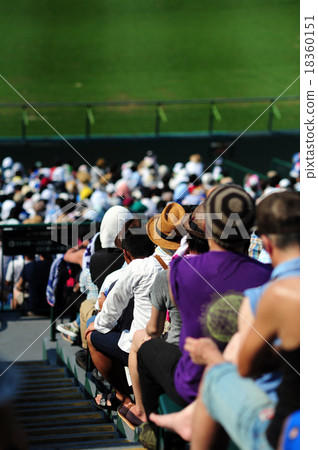 Baseball game watching -3 18360151