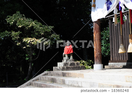 The lone guardian dog of Shingu Temmangu The lone guardian dog of Shingu Temmangu 18360248
