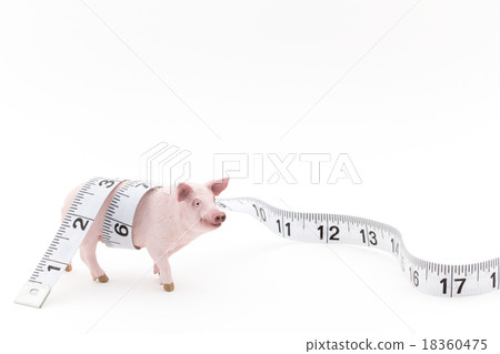 Pig toy Pig toy 18360475
