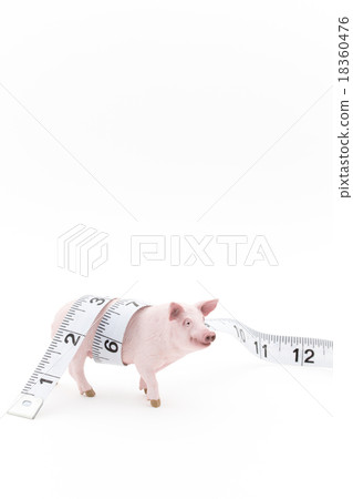 Pig toy Pig toy 18360476