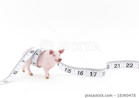 Pig toy Pig toy 18360478