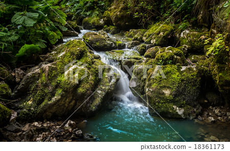 Creek Flowing Creek Flowing 18361173