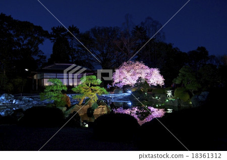 櫻〜點亮〜 18361312