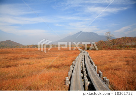 Autumn Oze 18361732