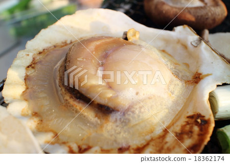 扇貝燒烤 18362174