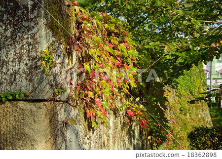 Aizuwakamatsu walk: Tsurugajo Ishigaki Aizuwakamatsu walk: Tsurugajo Ishigaki 18362898