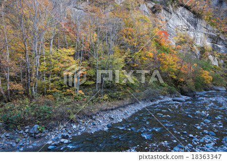 Autumn leaves at the inner back of the Kinuhaku flower valley Autumn leaves at the inner back of the Kinuhaku flower valley 18363347