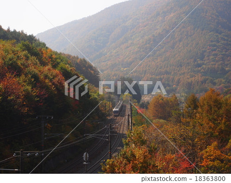 Limited Express Running on the Kiso Road in the Autumn 18363800