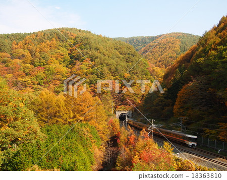 Limited Express Running on the Kiso Road in the Autumn 18363810