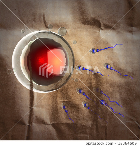 sperm and egg cell. microscopic image painted sperm and egg cell. microscopic image painted 18364609