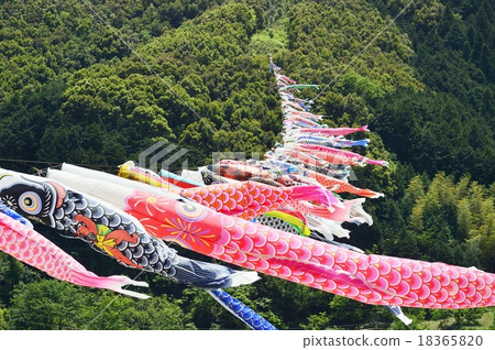 River carp streaming 18365820