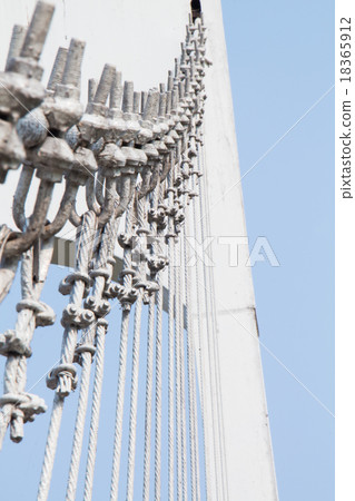 The wire metal rope bridge The wire metal rope bridge 18365912