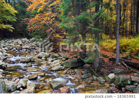 Stream in Autumn Mountain Forest Stream in Autumn Mountain Forest 18365991