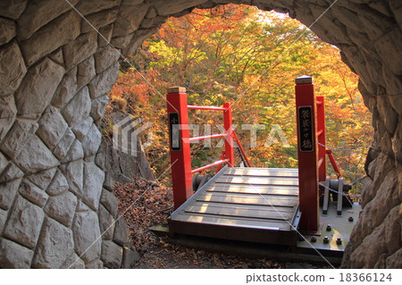 Osakabashi Bridge (Midori-shi, Gunma Prefecture) 18366124