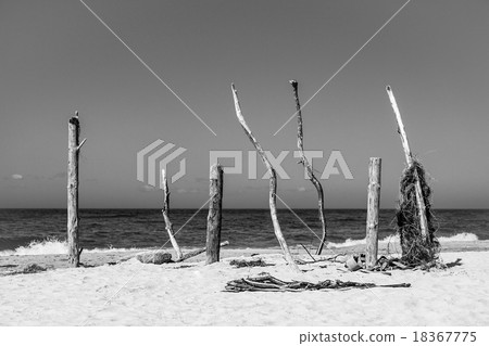 Baltic Se coast Baltic Se coast 18367775