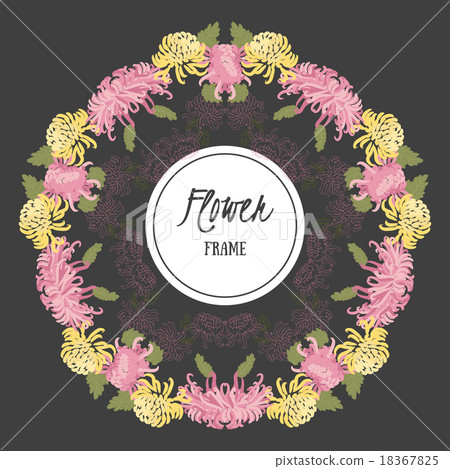 Vector background with flowers chrysanthemum Vector background with flowers chrysanthemum 18367825