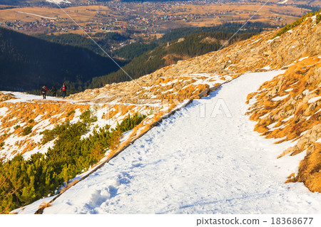 winter landscape, High Tatra Mountains 18368677