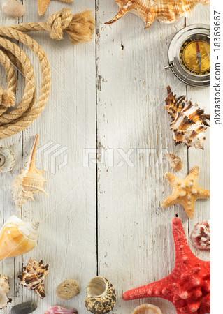 seashell  on wooden background 18369667