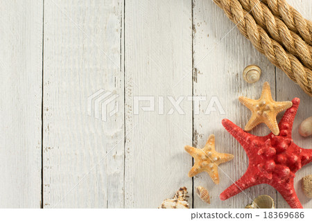 seashell on wooden background 18369686