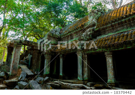 Stone temple Ta Prohm 18370442