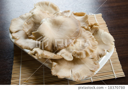 Mushroom Mushroom 18370780